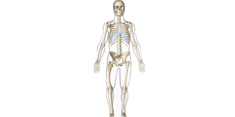 Bệnh Paget xương là một chứng rối loạn bất thường trong quá trình hình thành và phát triển của hệ xương