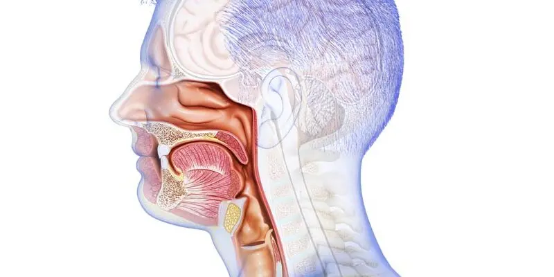 Ung thư miệng là ung thư phát triển trong các mô ở vùng miệng
