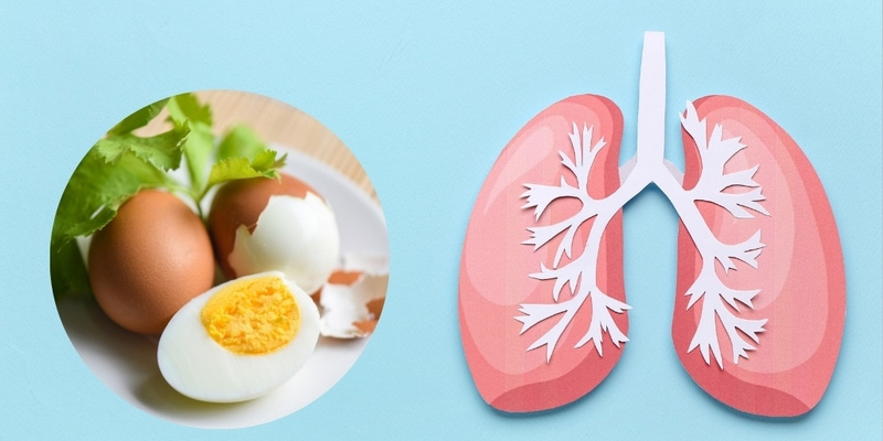 Giải đáp thắc mắc ung thư phổi có ăn trứng gà được không