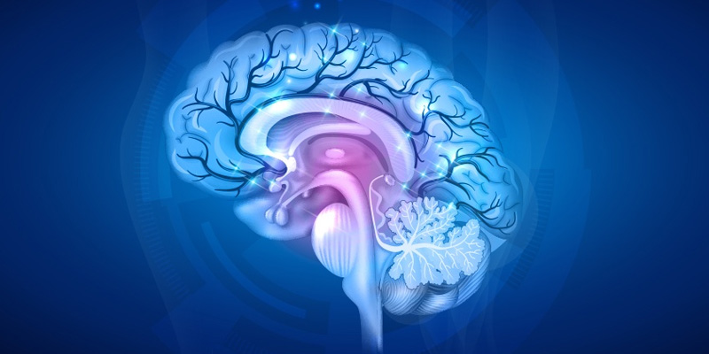 Ung thư vú di căn não điều trị gặp nhiều khó khăn do hàng rào não.