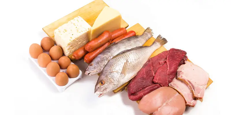 Bệnh nhân cần ăn thực phẩm giàu protein và calo như đậu, gà, cá, thịt, sữa chua, và trứng