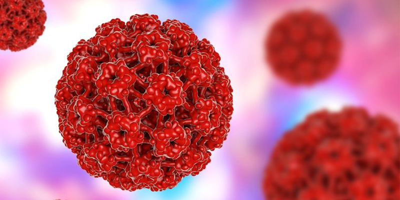 HPV là nguyên nhân chủ yếu gây ung thư cổ tử cung