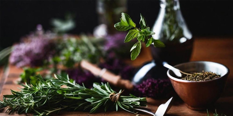 Sử dụng thảo dược để điều trị ung thư phổi