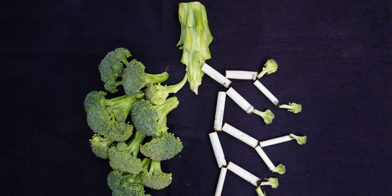 Hút thuốc lá có hại đối với bệnh nhân ung thư phổi