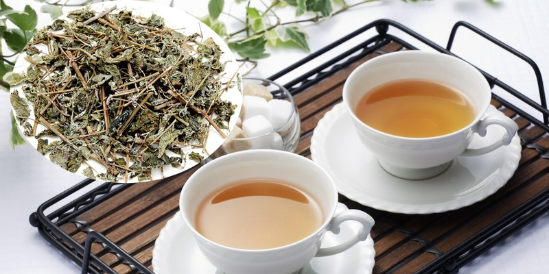 Trà xạ đen có tác dụng làm tan các u bướu và tiêu diệt tế bào ung thư khá hiệu quả