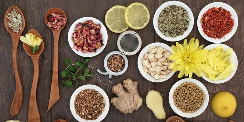 Thuốc nam giúp bồi bổ sức khỏe và nâng cao thể trạng ở bệnh nhân ung thư máu