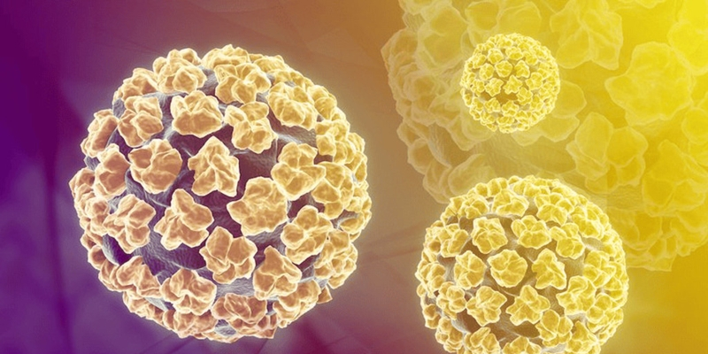 Virus HPV là tác nhân chính gây bệnh lây truyền qua đường tình dục
