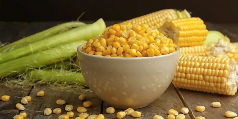 Lưu ý khi sử dụng ngô cho người bệnh ung thư tuyến giáp