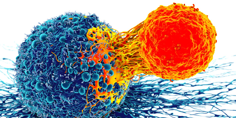 Ngăn hormone gắn vào tế bào ung thư là một trong các mục tiêu của liệu pháp nội tiết