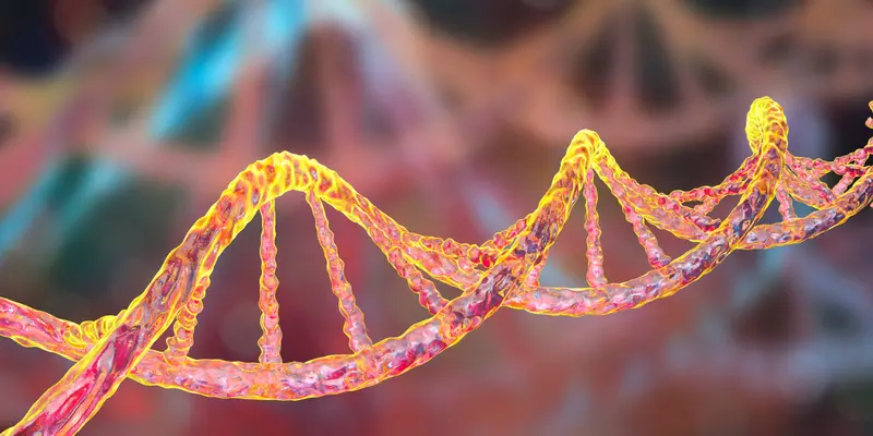 Phụ nữ mang đột biến gen BRCA1 hoặc BRCA2 có nguy cơ mắc ung thư vú lên tới 50-85%