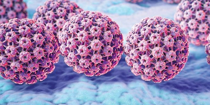 HPV (Human Papillomavirus) gây ung thư thông qua cơ chế can thiệp vào quá trình điều hòa tế bào của cơ thể.