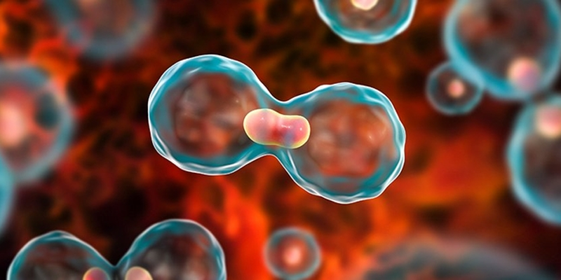 Liệu từ khi bị nhiễm HPV bao lâu thì bị ung thư?