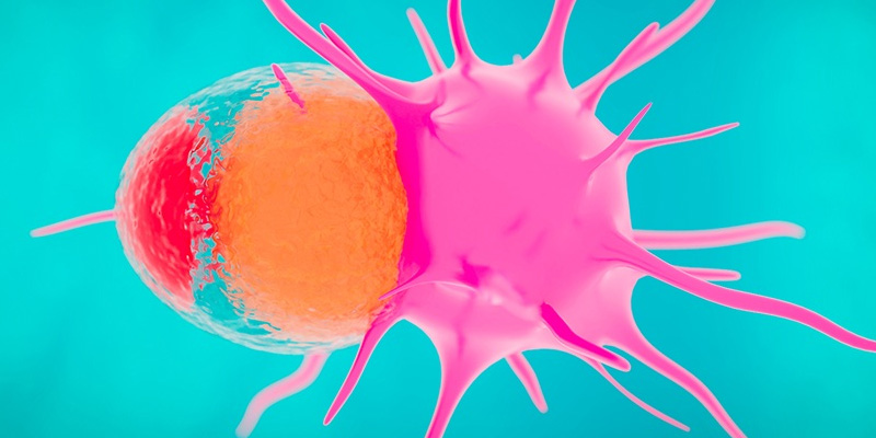 Tế bào ung thư vú phát triển nhanh ra sao?