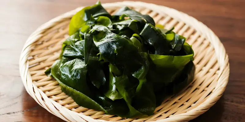 Tảo biển chứa nhiều giá trị dinh dưỡng và tốt với bệnh nhân u tuyến giáp