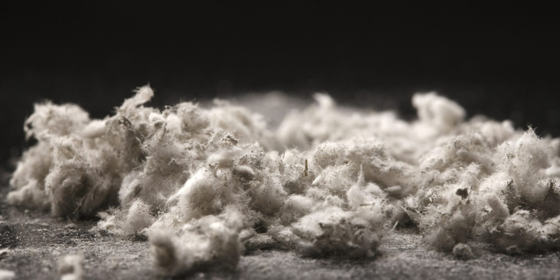 Bụi aminăng gây bệnh phổi mãn tính