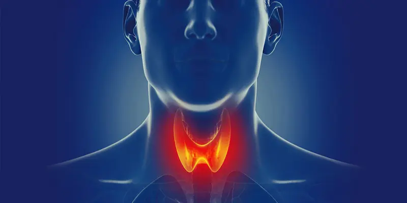 Ung thư tuyến giáp bắt đầu ở tuyến giáp, một tuyến nhỏ ở đáy cổ, ngay phía trên khí quản