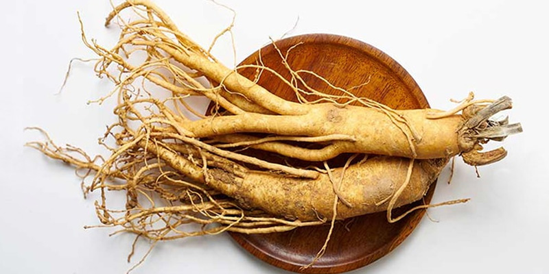 Nhân sâm mang lại những lợi ích vượt trội đối với sức khỏe