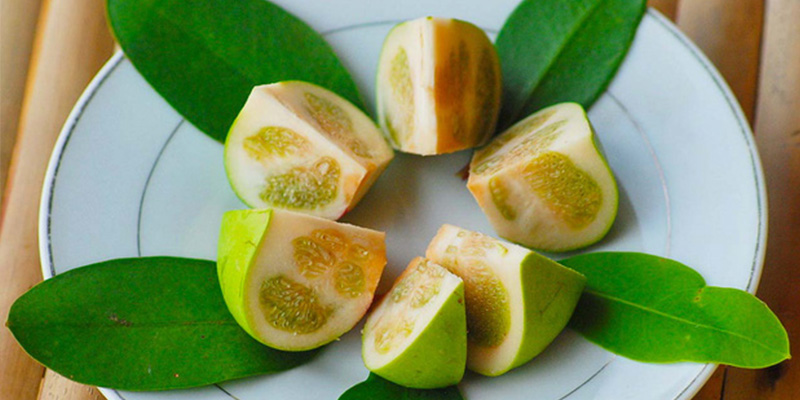 Trái bần chữa ung thư phổi