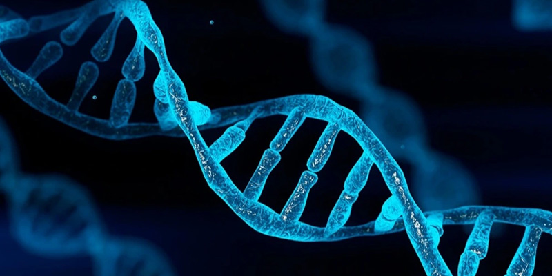 Tỉ lệ bệnh nhân mắc bệnh ung thư phổi do di truyền chiếm khoảng 8%