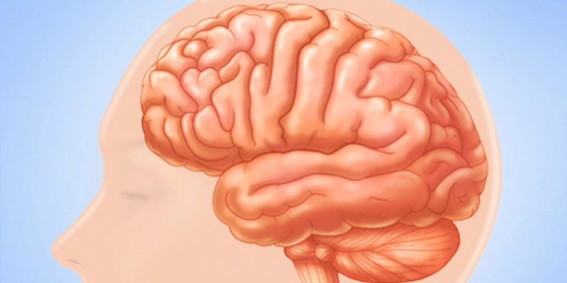 Ung thư vú di căn não