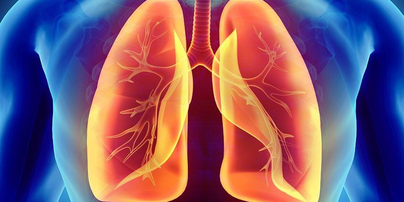 Vai trò của phổi trong cơ thể