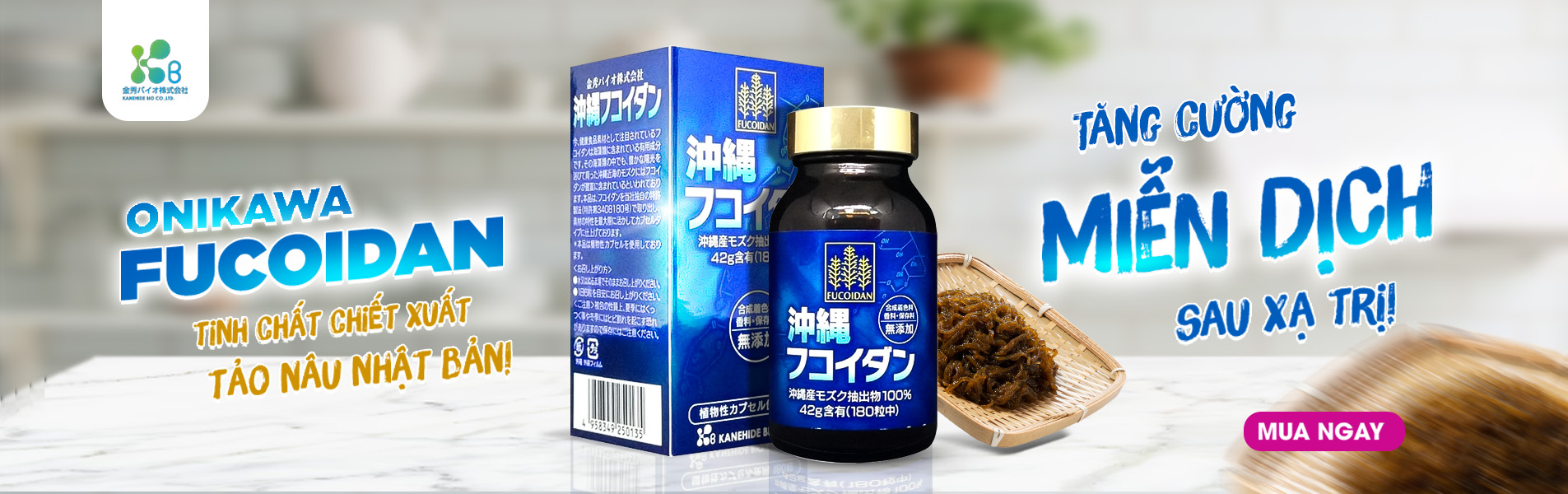 fucoidan