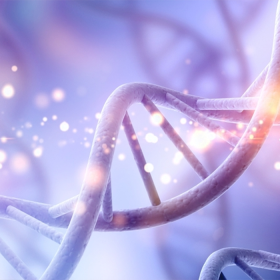Bệnh bạch cầu lymphoblastic cấp tính: Triệu chứng và cách điều trị