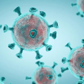 Bệnh phổi trắng có lây không? Cách giảm nguy cơ lây bệnh phổi trắng