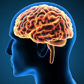 Các phương pháp chẩn đoán ung thư não hiện nay