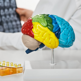 Hướng dẫn các phương pháp điều trị ung thư não hiệu quả