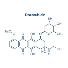 Doxorubicin