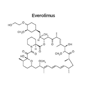 Everolimus