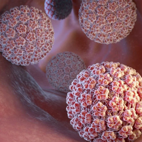 HPV 33 là gì? Đường lây truyền và cách phòng ngừa bệnh