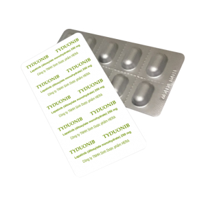 Tyduonib 250mg Herabiopharm điều trị bệnh ung thư vú 70 viên