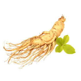 Ung thư phổi có ăn được sâm không? Các rủi ro có thể gặp