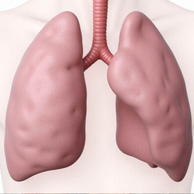 Ung thư phổi giai đoạn cuối có lây không? Làm gì khi phổi đang giai đoạn cuối