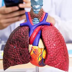 Ung thư phổi là gì? Nguyên nhân, dấu hiệu và điều trị mới nhất