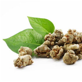 Ung thư vú có uống được tam thất không? Công dụng và lưu ý khi dùng