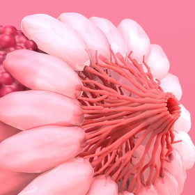 Ung thư vú tái phát: Nguyên nhân, triệu chứng và cách xử lý