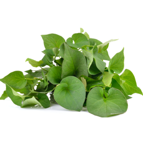 Uống lá cây gì tốt cho phổi? Cần lưu ý gì khi sử dụng